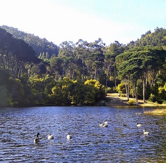 Núcleo Aventura & Passeios Pedestres